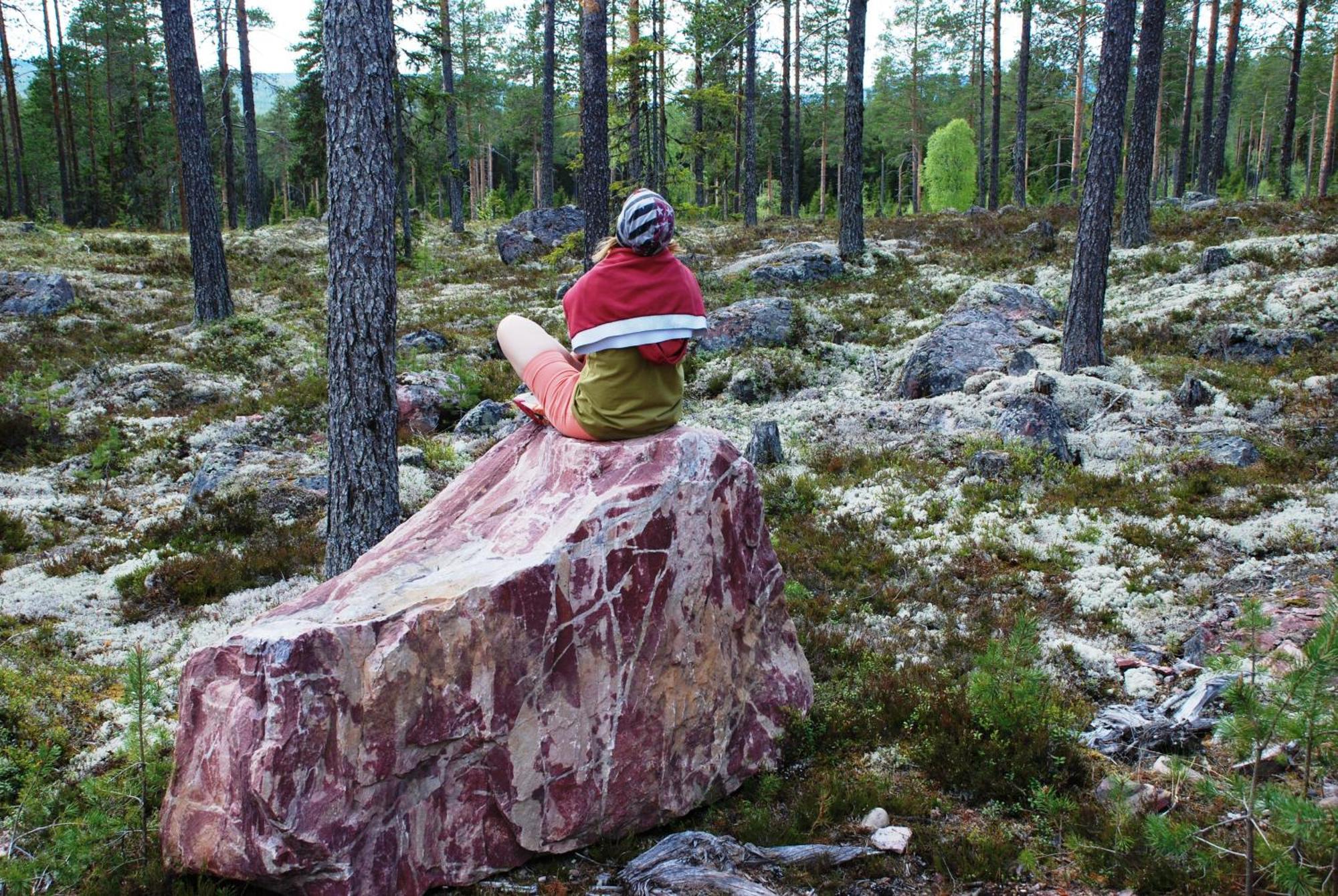 12 - Fulufjellets Nasjonalparker - Natur-, Dyre- Og Fugleopplevelser Ljørdal Exterior foto